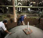 Biogas-Biru-Bali